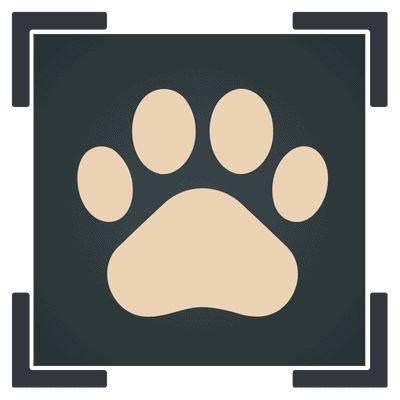 san diego pet photographer